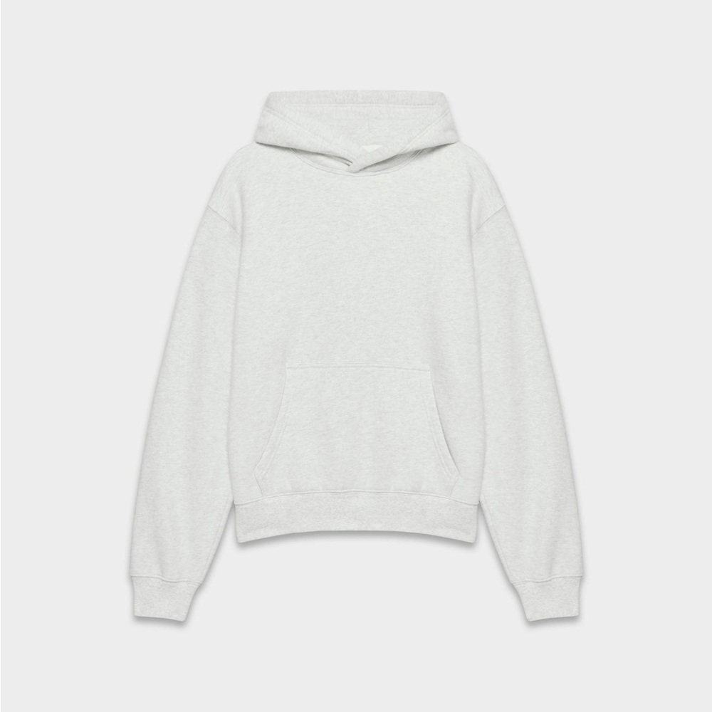 Aritzia Cozy Fleece Perfect Hoodie
